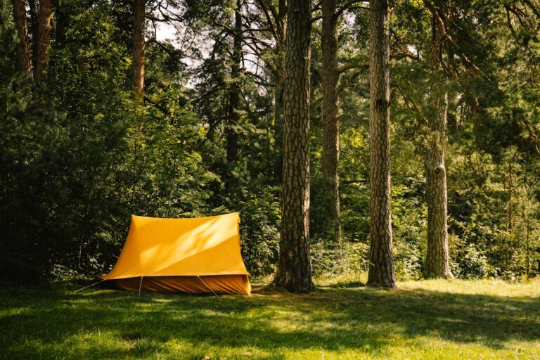 Exploring Nature: Essential Supplies for Safe Outdoor Fun